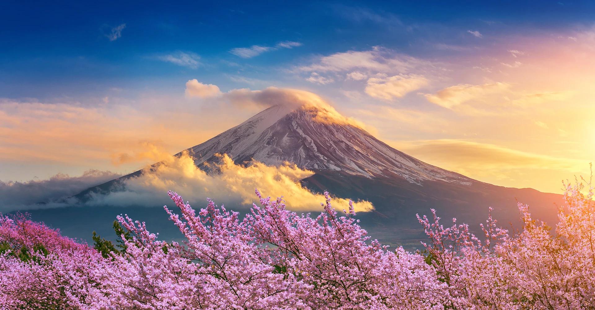 berg fuji